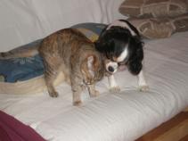 foto/diskuze/muskareni/2010/th-img38564.jpg