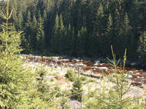 foto/diskuze/muskareni/2011/th-img44014.jpg