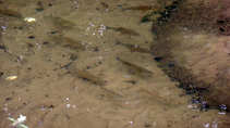 foto/diskuze/muskareni/2011/th-img44985.jpg