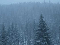 foto/diskuze/muskareni/2011/th-img46349.jpg