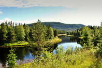 foto/diskuze/muskareni/2012/th-img49853.jpg