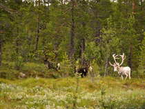 foto/diskuze/muskareni/2012/th-img49854.jpg