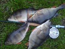 foto/diskuze/muskareni/2012/th-img51486.jpg