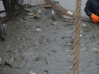 foto/diskuze/ostrava_a_okoli/2009/th-img27392.jpg