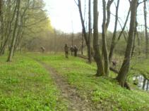 foto/diskuze/ostrava_a_okoli/2010/th-img33087.jpg