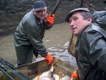 foto/diskuze/ostrava_a_okoli/2011/th-img45569.jpg