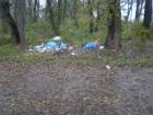 foto/diskuze/pest_na_oko/2010/th-img30825.jpg