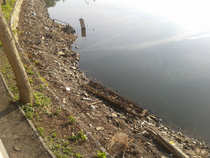 foto/diskuze/pest_na_oko/2012/th-img49238.jpg