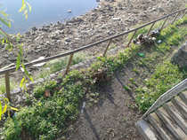 foto/diskuze/pest_na_oko/2012/th-img49239.jpg