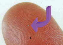 foto/diskuze/pest_na_oko/2012/th-img89442.jpg