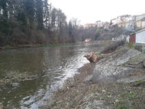 foto/diskuze/pest_na_oko/2013/th-img102909.jpg