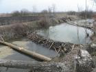 foto/diskuze/plavana/2010/th-img32055.jpg