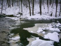 foto/diskuze/plavana/2010/th-img39603.jpg