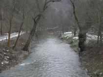 foto/diskuze/plavana/2010/th-img39739.jpg