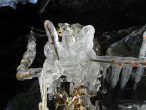 foto/diskuze/plavana/2010/th-img39800.jpg