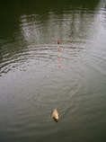 foto/diskuze/plavana/2011/th-img41854.jpg