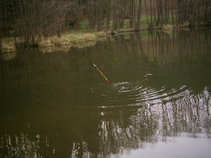 foto/diskuze/plavana/2011/th-img41856.jpg