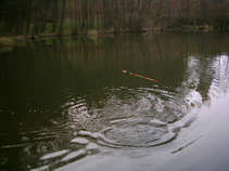 foto/diskuze/plavana/2011/th-img41857.jpg