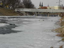 foto/diskuze/plavana/2012/th-img47225.jpg