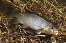 foto/diskuze/plavana/2012/th-img47806.jpg