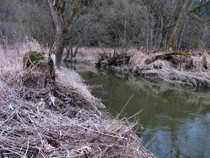 foto/diskuze/plavana/2012/th-img48171.jpg