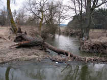 foto/diskuze/plavana/2012/th-img48172.jpg
