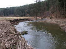 foto/diskuze/plavana/2012/th-img48173.jpg