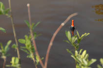 foto/diskuze/plavana/2013/th-img98199.jpg