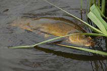 foto/diskuze/plavana/2013/th-img98200.jpg