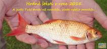 foto/diskuze/plavana/2014/th-img111343.jpg