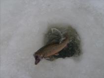 foto/diskuze/plzen_a_okoli/2011/th-img40102.jpg