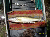 foto/diskuze/plzen_a_okoli/2012/th-img49569.jpg