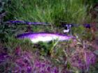 foto/diskuze/praha_a_okoli/2010/th-img31126.gif