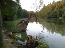 foto/diskuze/praha_a_okoli/2011/th-img45093.jpg