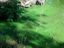 foto/diskuze/praha_a_okoli/2011/th-img45094.jpg