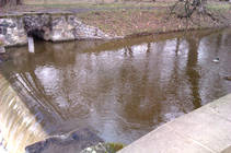 foto/diskuze/praha_a_okoli/2013/th-img96879.jpg