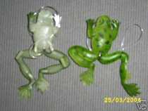 foto/diskuze/privlac/2005/th-img15414.jpg
