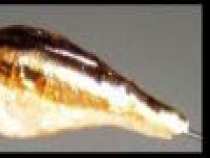 foto/diskuze/privlac/2005/th-img16364.jpg