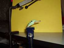 foto/diskuze/privlac/2005/th-img16588.jpg
