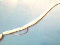 foto/diskuze/privlac/2005/th-img16897.jpg