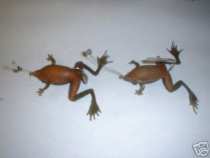 foto/diskuze/privlac/2005/th-img16962.jpg
