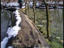 foto/diskuze/privlac/2005/th-img17010.jpg