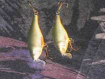 foto/diskuze/privlac/2005/th-img17544.jpg