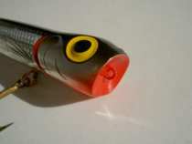 foto/diskuze/privlac/2005/th-img18194.jpg