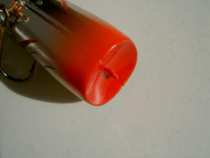 foto/diskuze/privlac/2005/th-img18195.jpg