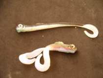 foto/diskuze/privlac/2005/th-img18321.jpg