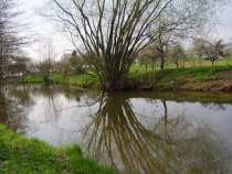 foto/diskuze/privlac/2005/th-img18576.jpg