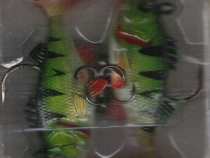 foto/diskuze/privlac/2005/th-img20712.jpg