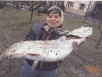 foto/diskuze/privlac/2006/th-img6966.jpg