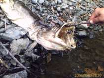 foto/diskuze/privlac/2006/th-img8506.jpg